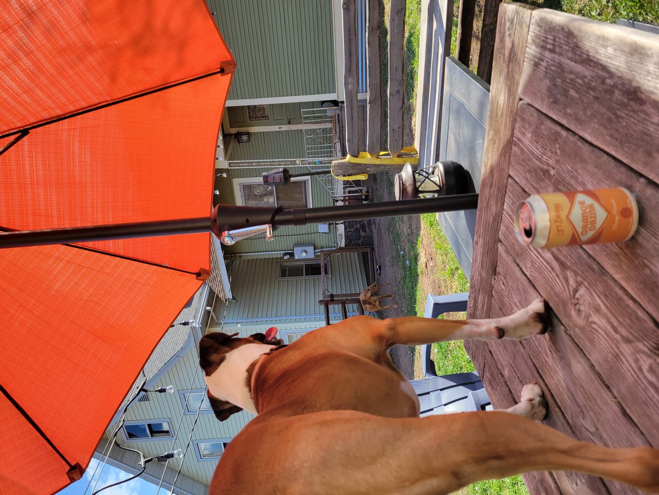 Update from Orange Door Art Glass