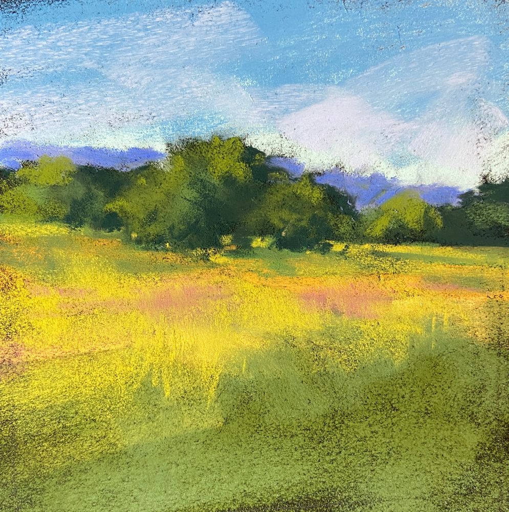 Daphne Boder Landscapes