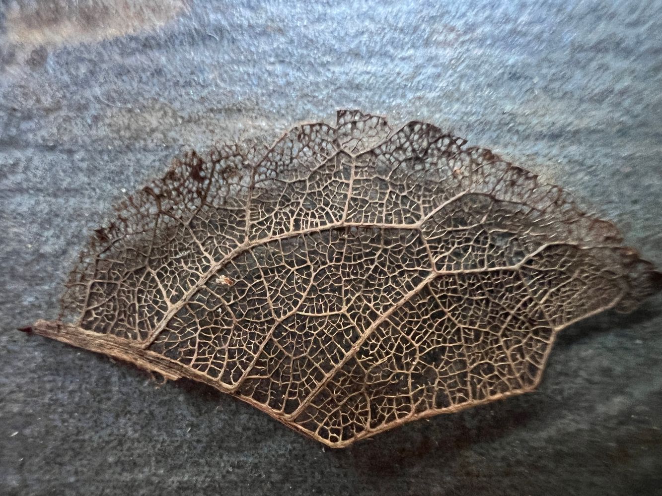 Invenio Wood & Art