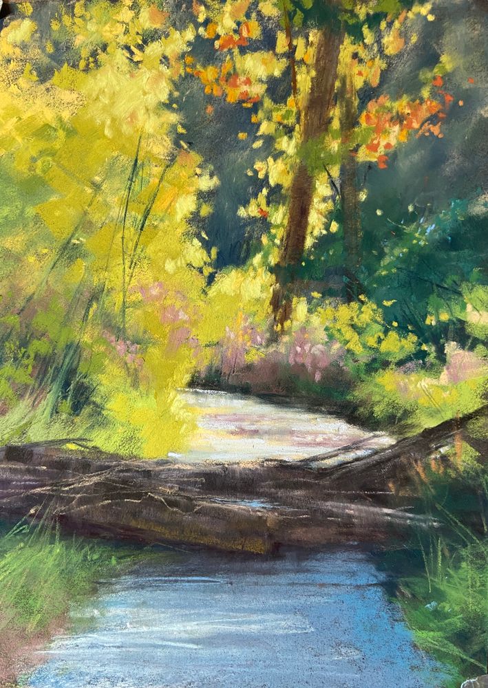 Daphne Boder Landscapes