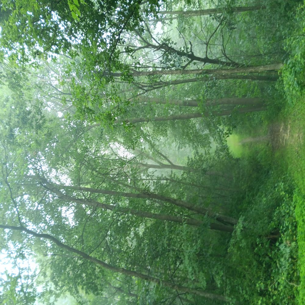 Sequential Glass Art Mosiac & Rustic Rosemaling