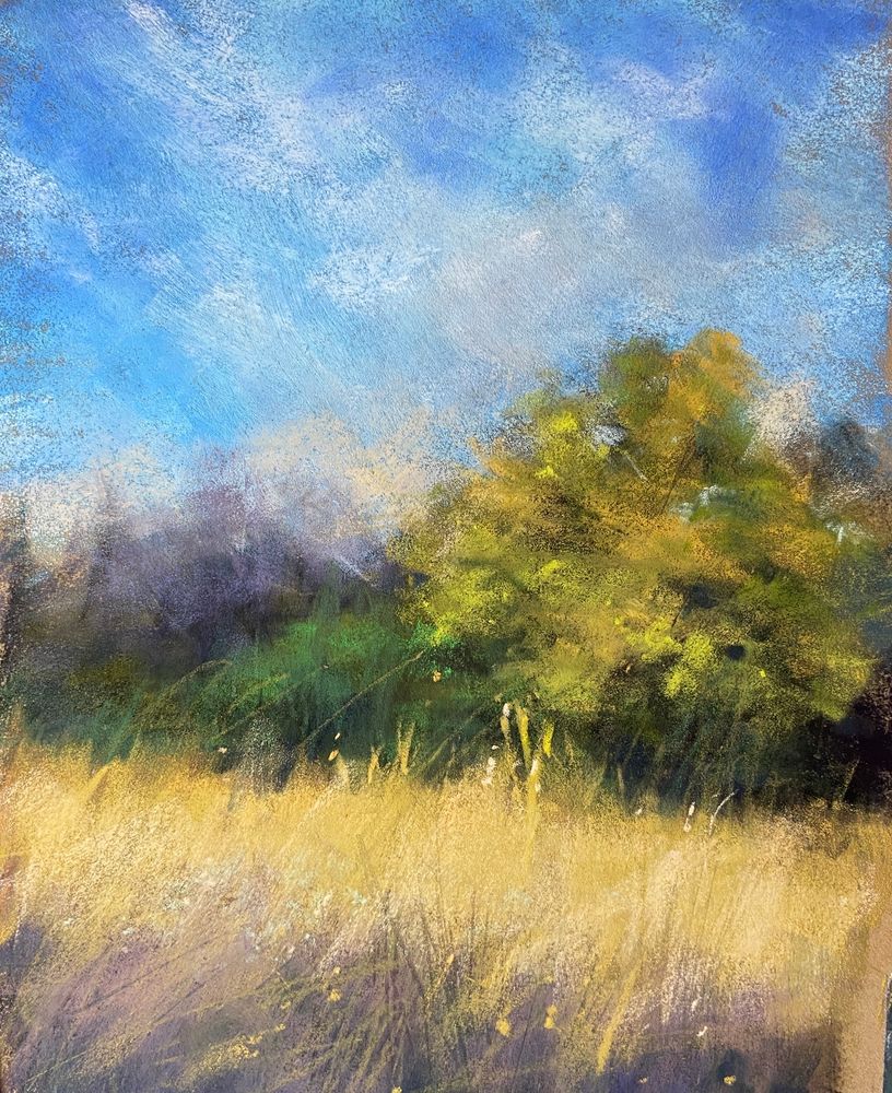 Daphne Boder Landscapes