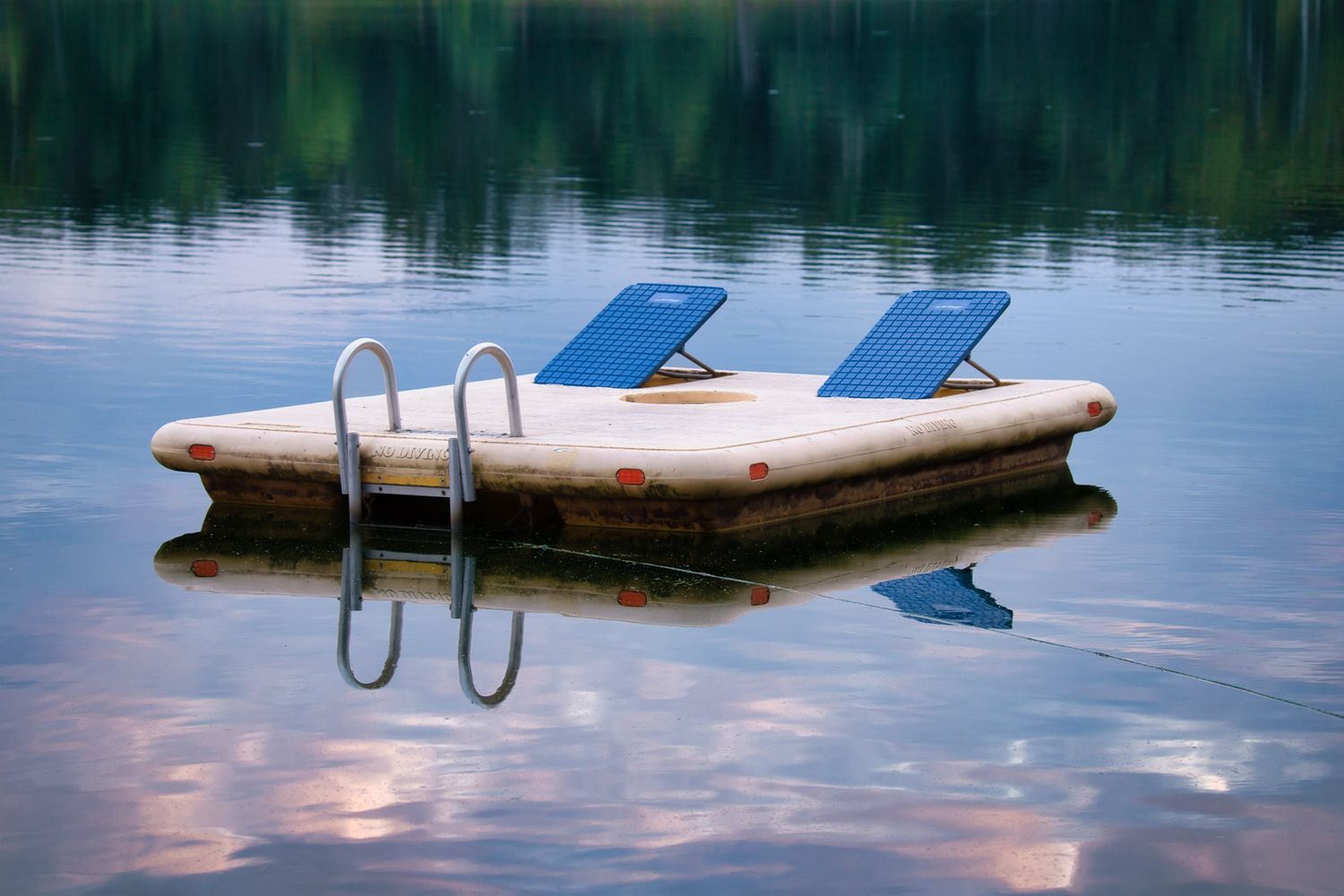 Lauri Novak Photography