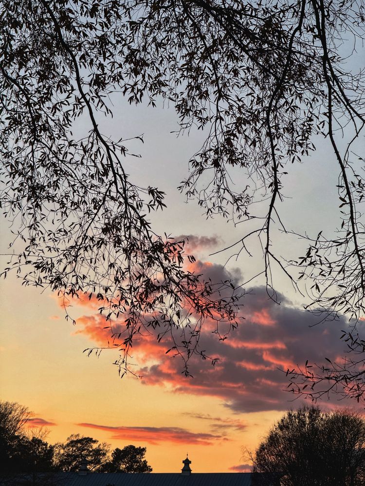 Mirinda’s photography and jewelry 