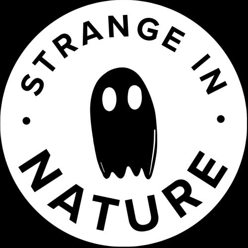 Strange in Nature