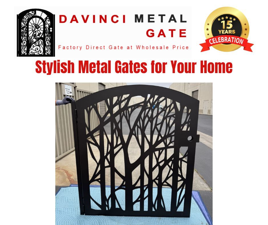 DaVinci Gate