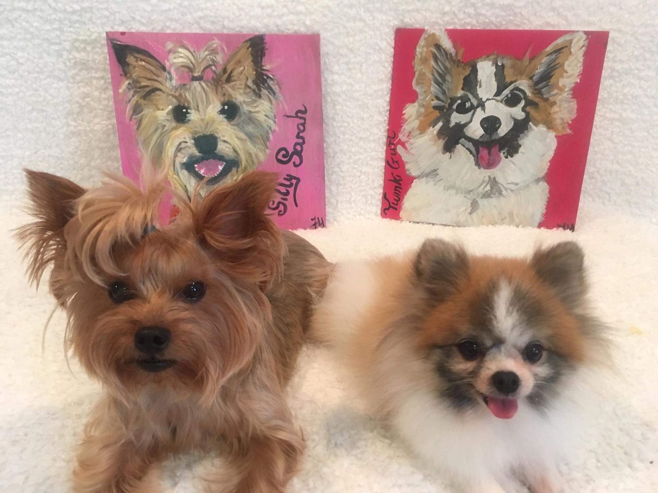 Firehorse Original Works