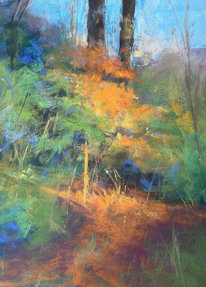 Daphne Boder Landscapes