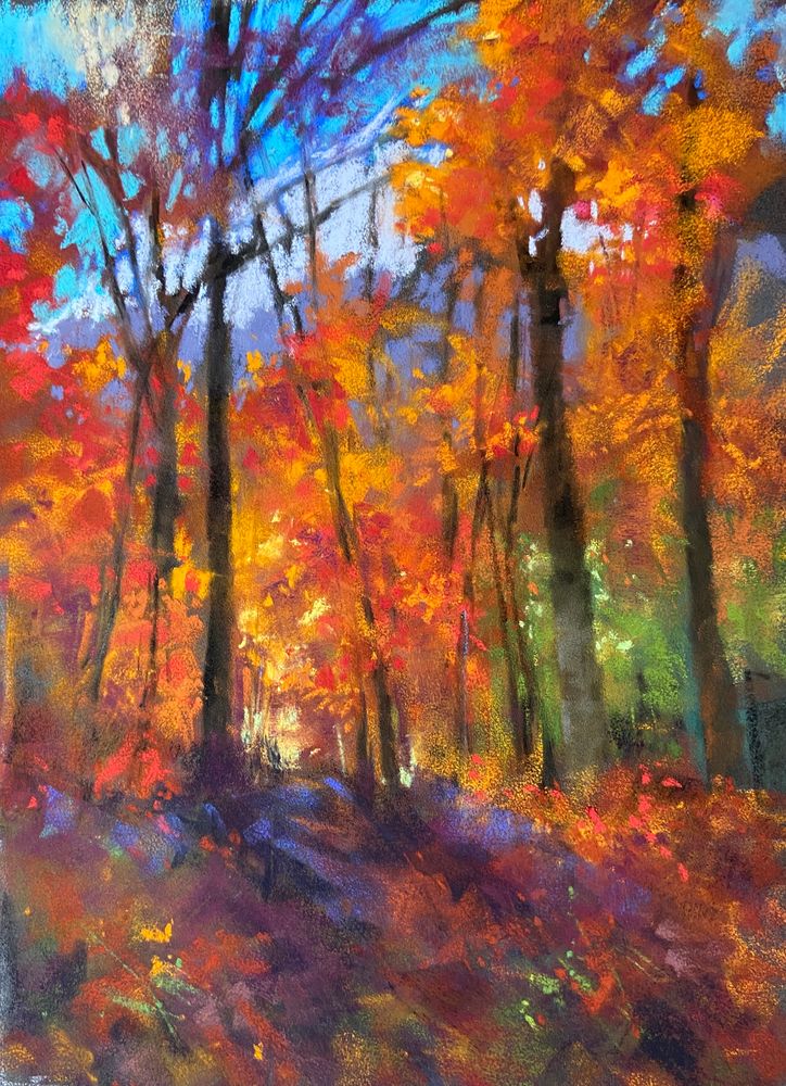 Daphne Boder Landscapes
