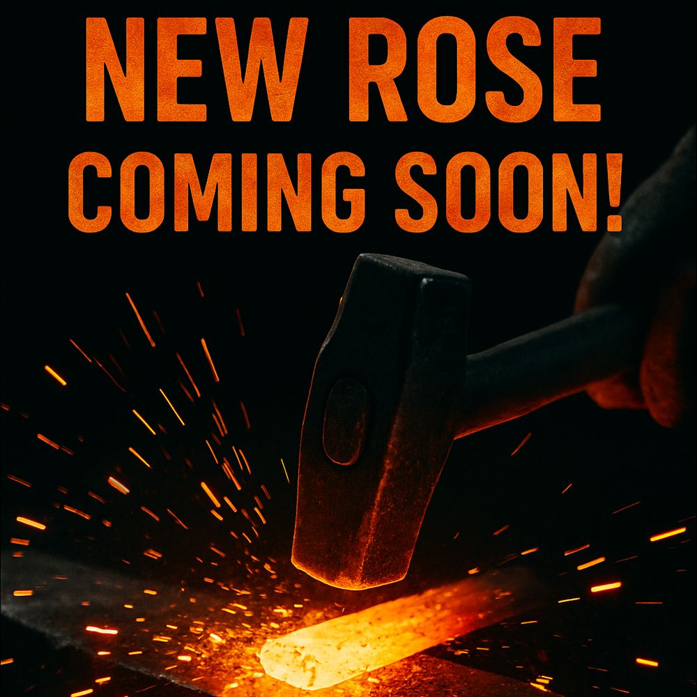 Update from Metal Relic