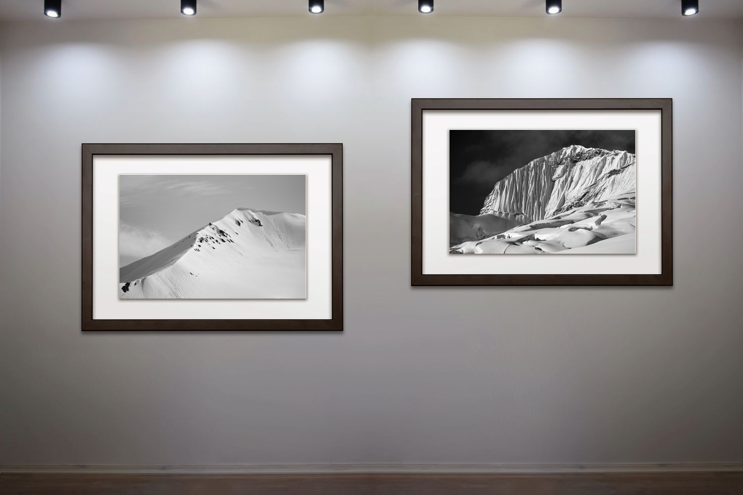 Update from Lauri Novak Photography