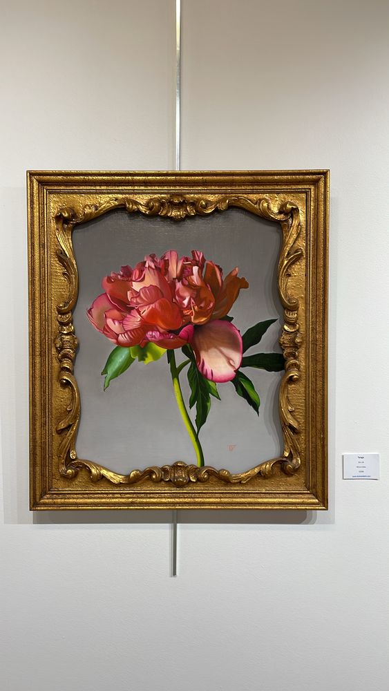 Update from Dyan J. Padgett Fine Art