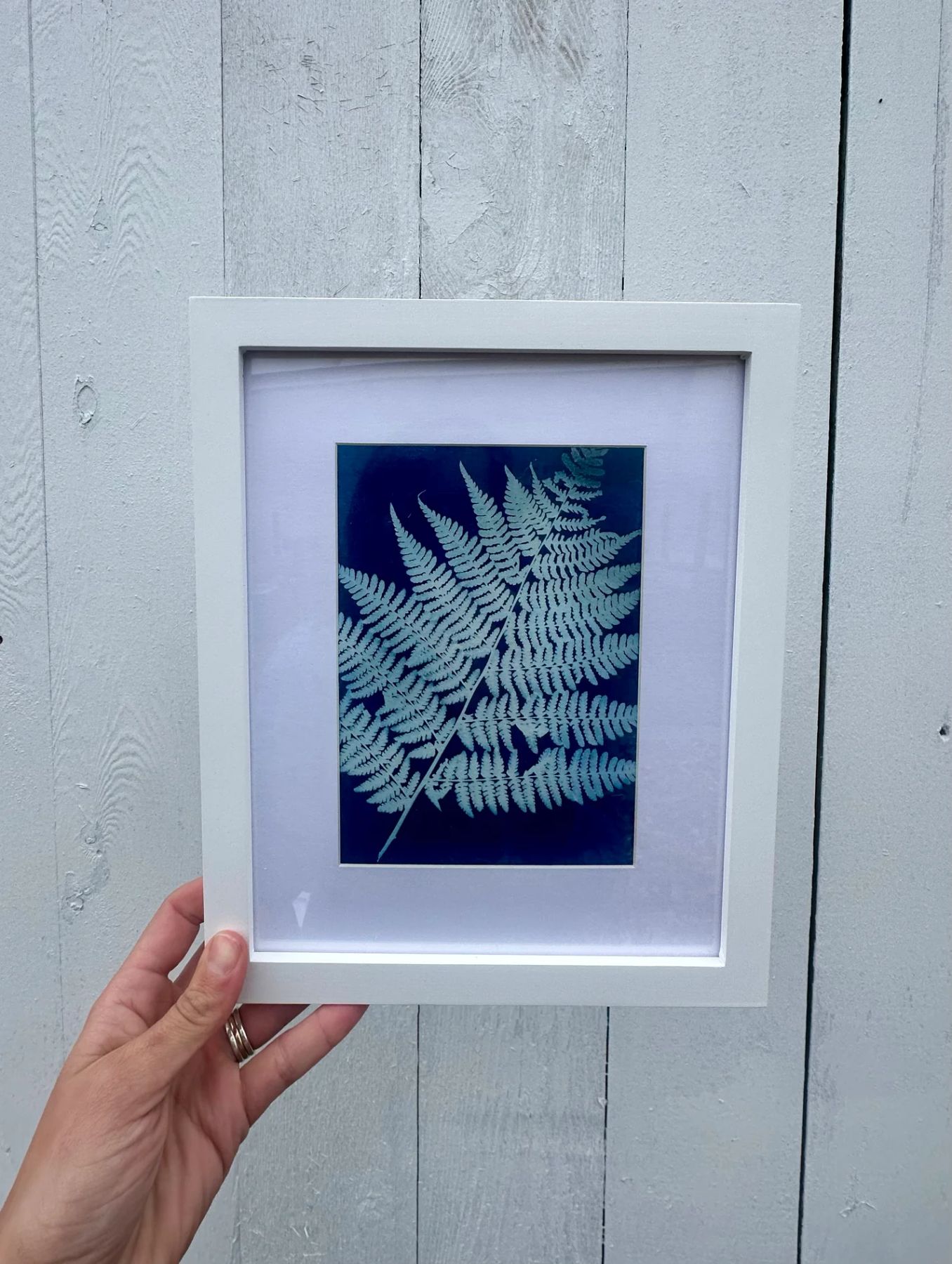 Large Cyanotype store Print of a Wild Plant