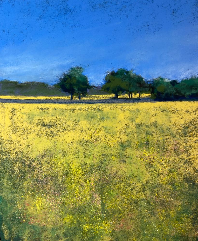 Daphne Boder Landscapes
