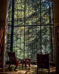 📚 Mill Valley Public Library 📚 📍Mill Valley, California 😍😍😍 I could sit there and read all day… This photo is of the serene beauty of the Mill Valley Public Library, a