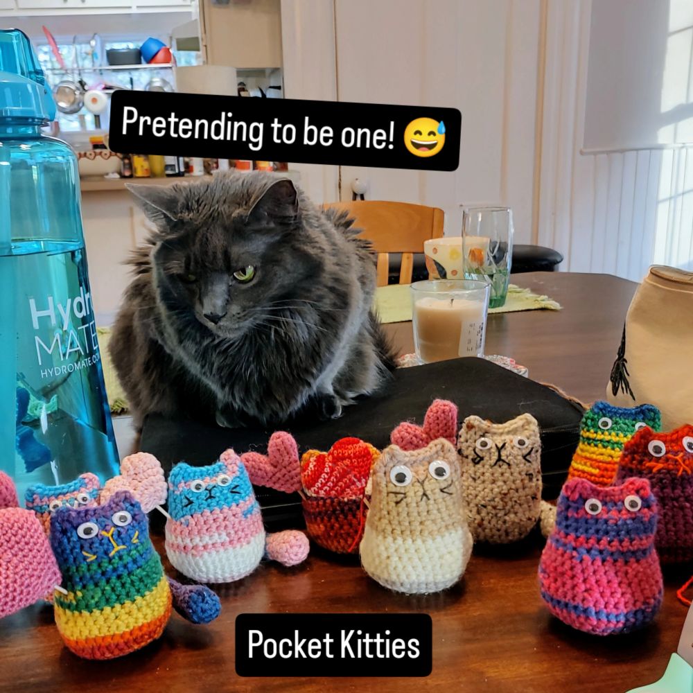 Update from The Queer Stitch