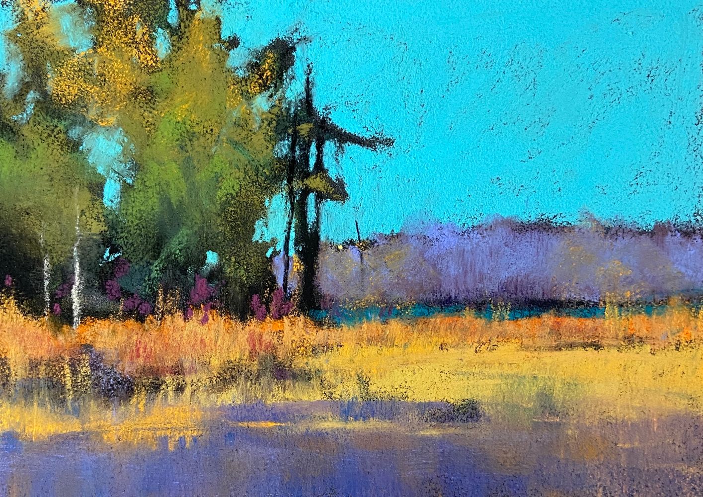 Daphne Boder Landscapes