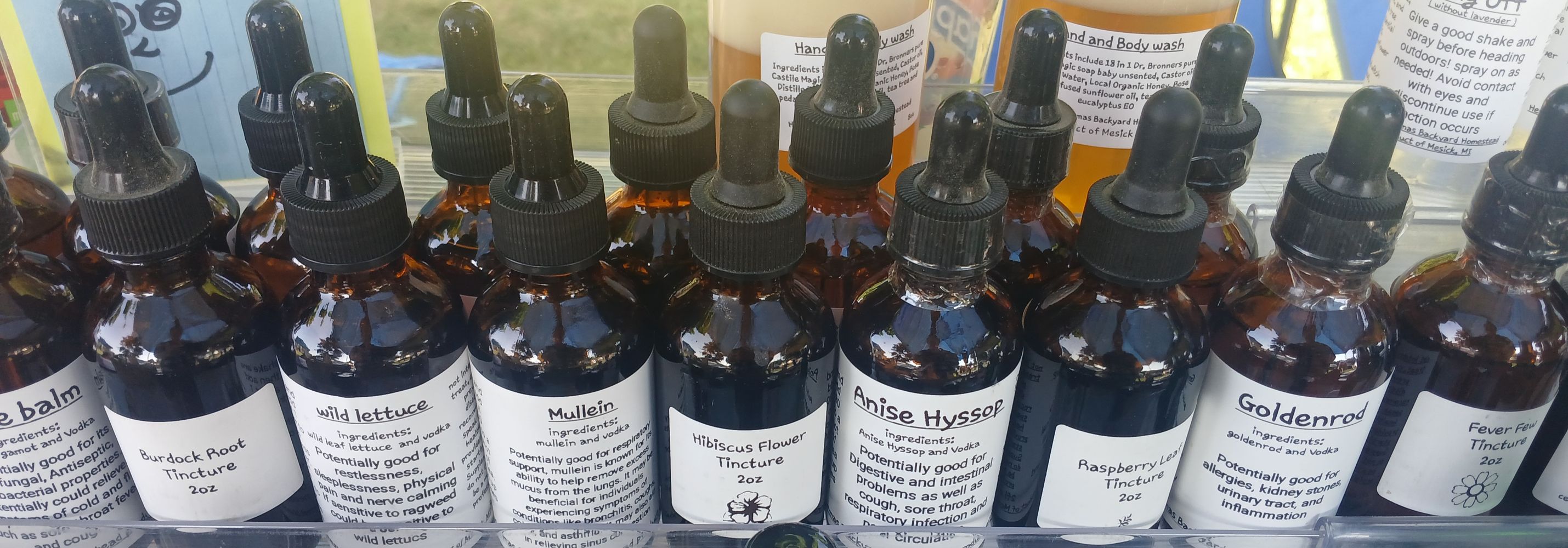 Update from Herbal Mommas Backyard Homestead