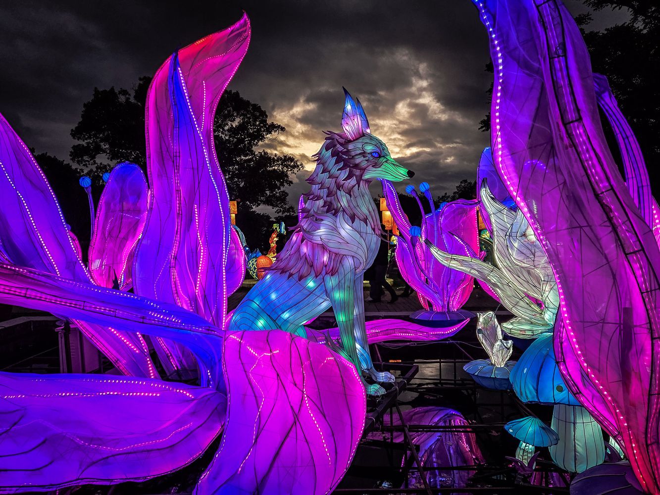 Lauri Novak Photography