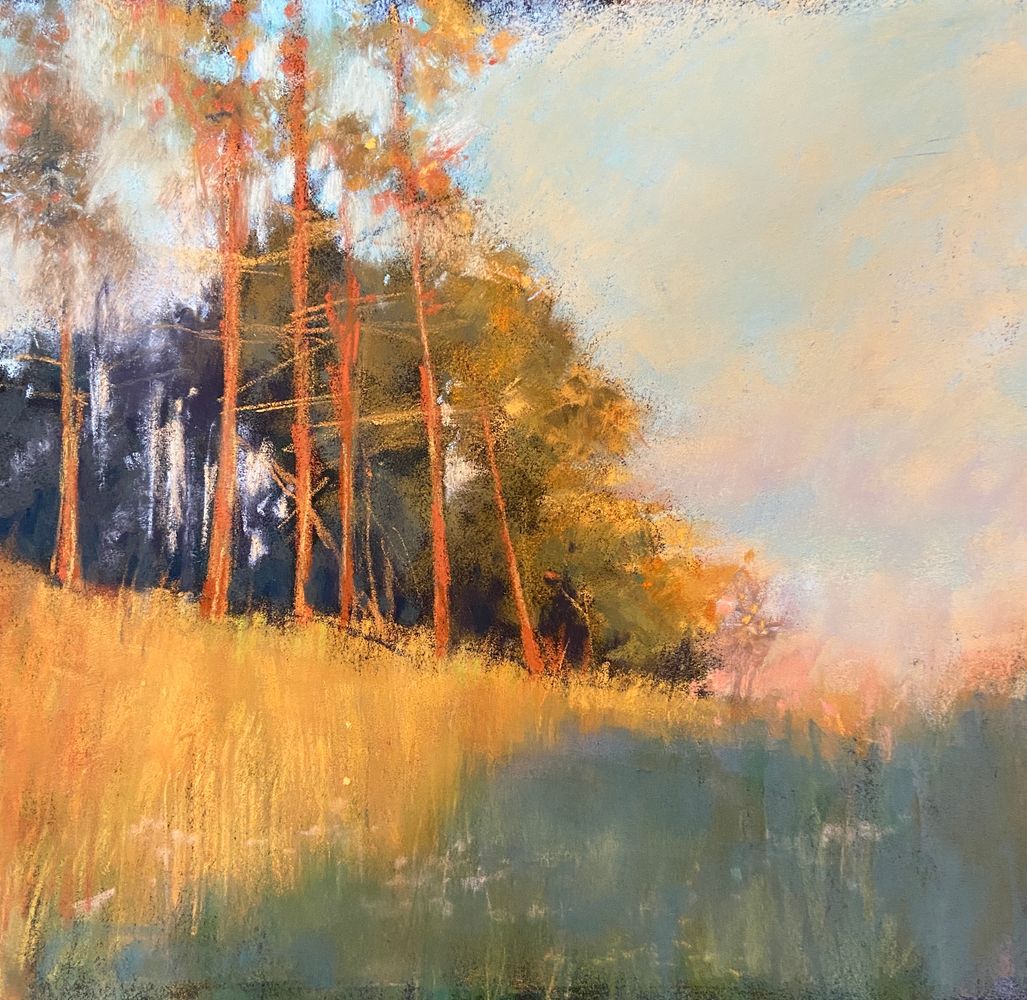 Daphne Boder Landscapes