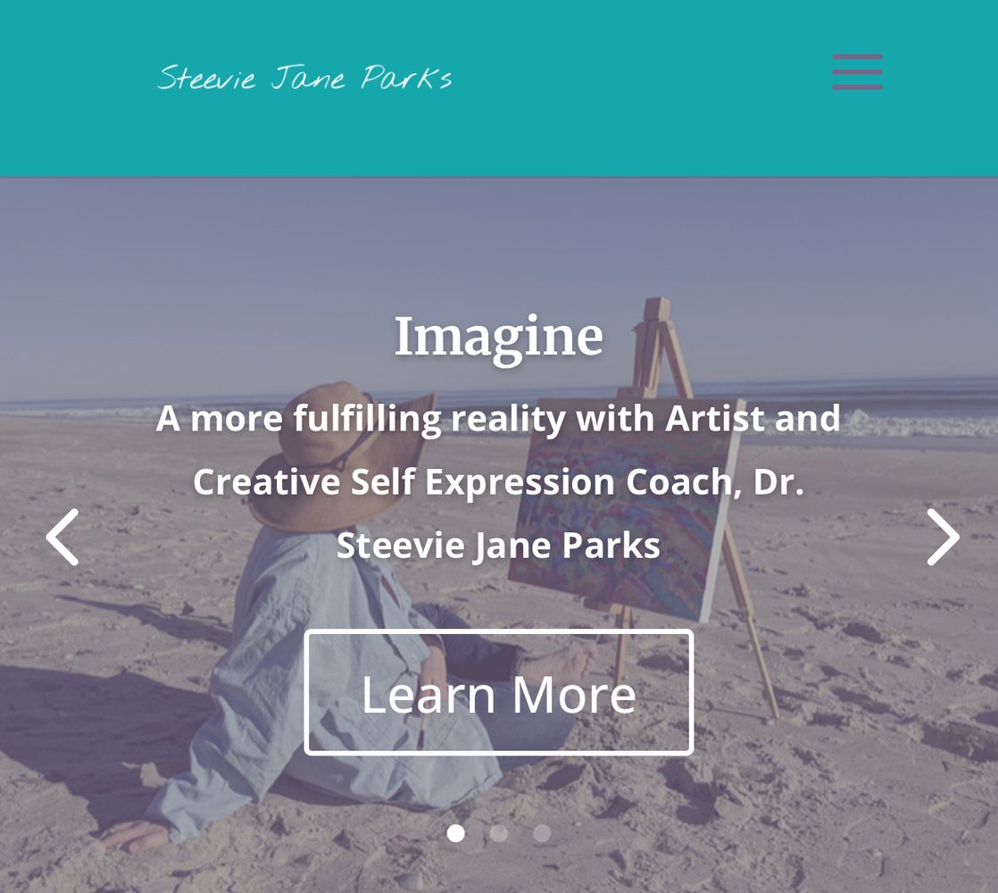 Steevie Jane Parks, Fine Art