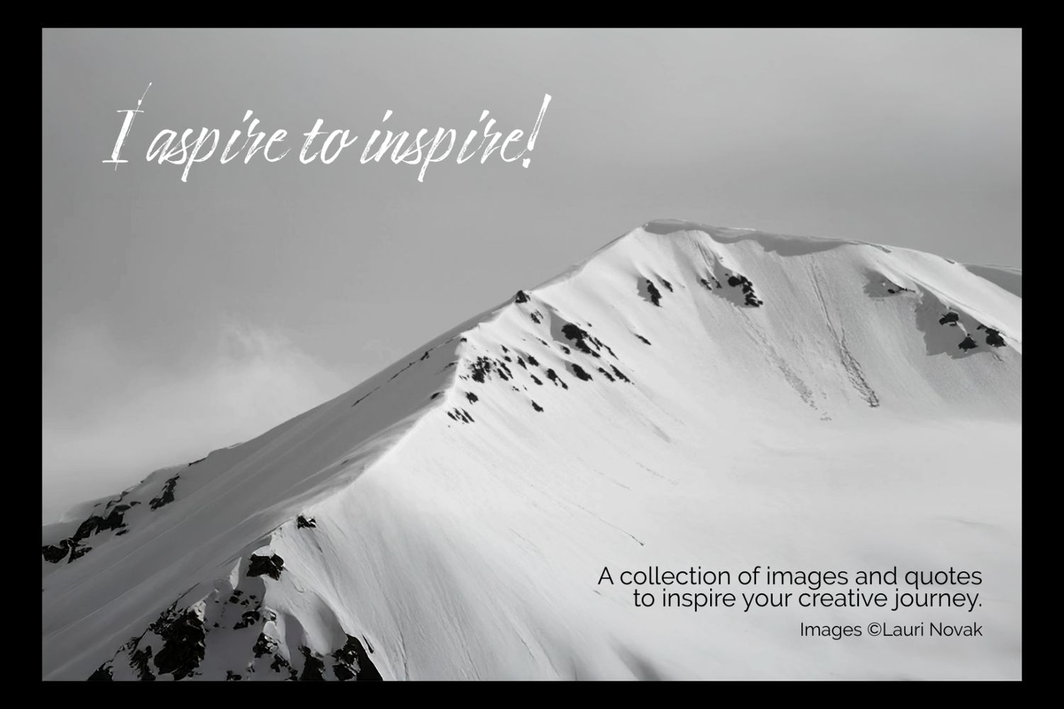 Update from Lauri Novak Photography
