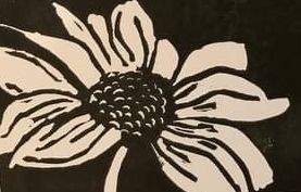 Crazy for Daisies