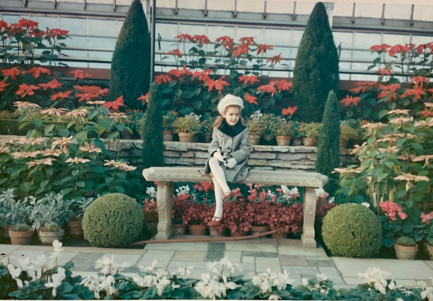 Mostly Postal Collage