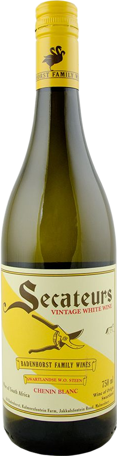 Loopersomm | Rec League