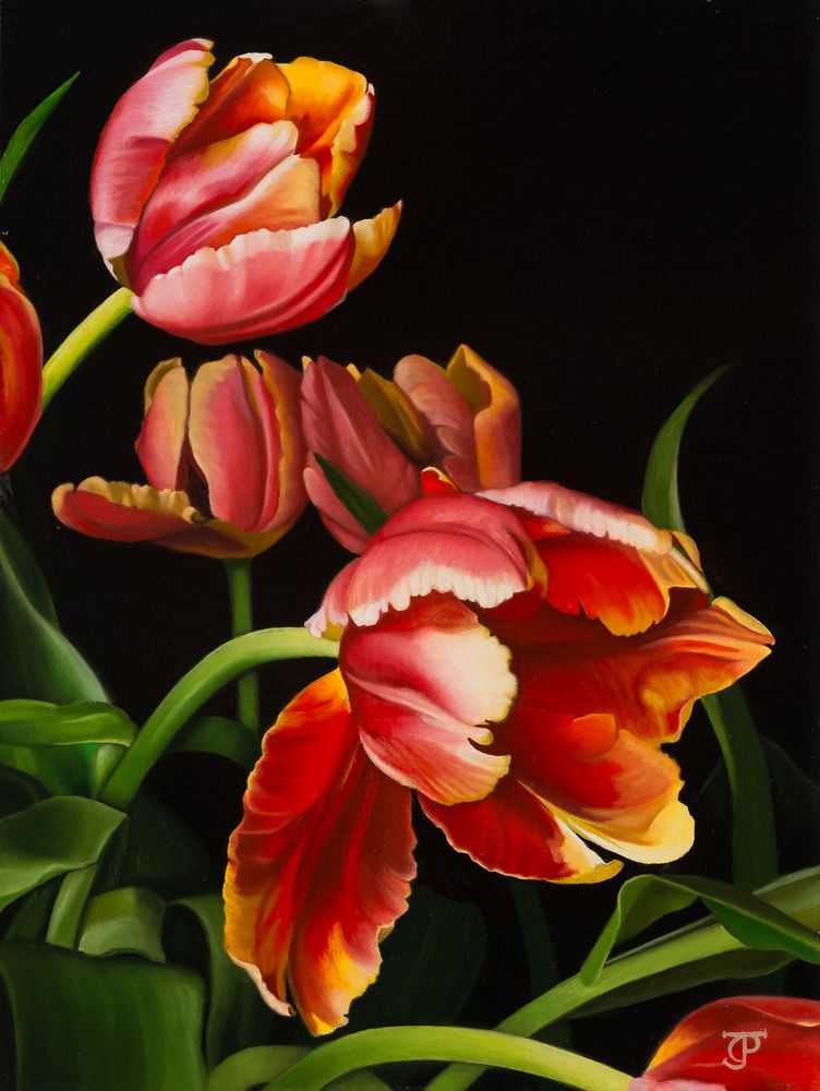 Update from Dyan J. Padgett Fine Art