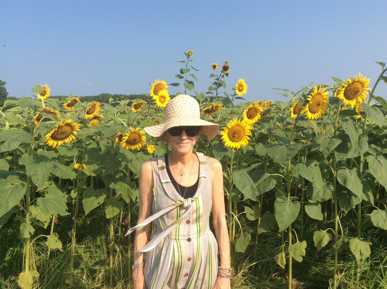 Update from Sudie Rakusin Art
