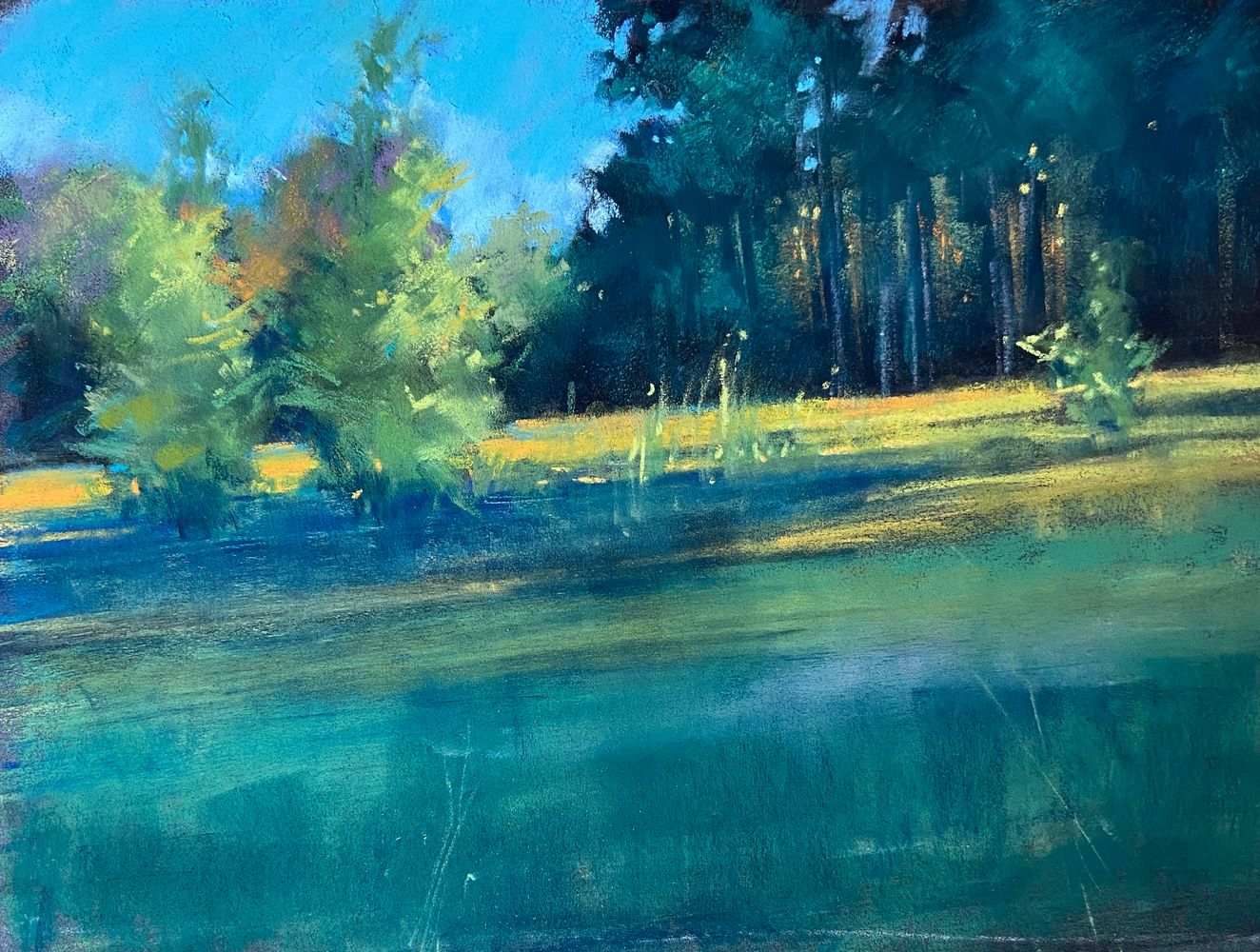 Daphne Boder Landscapes
