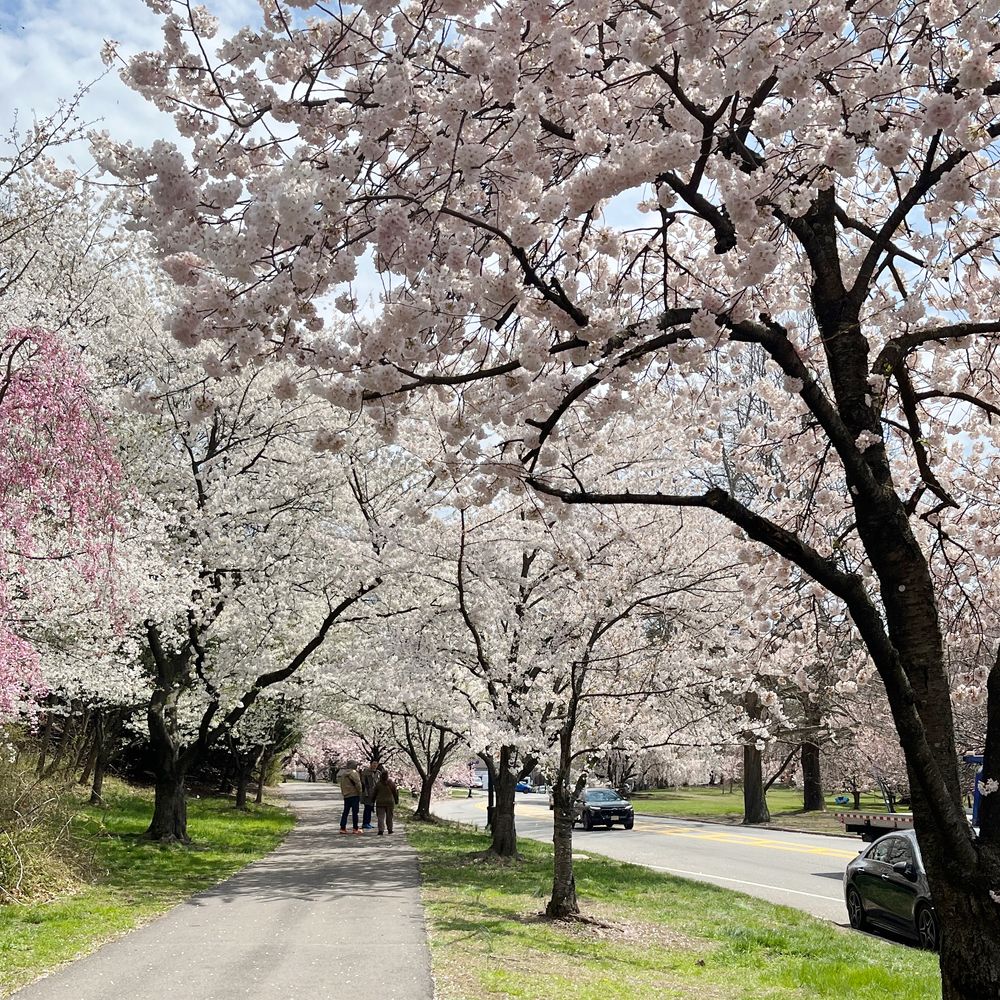 Update from satokomatsu