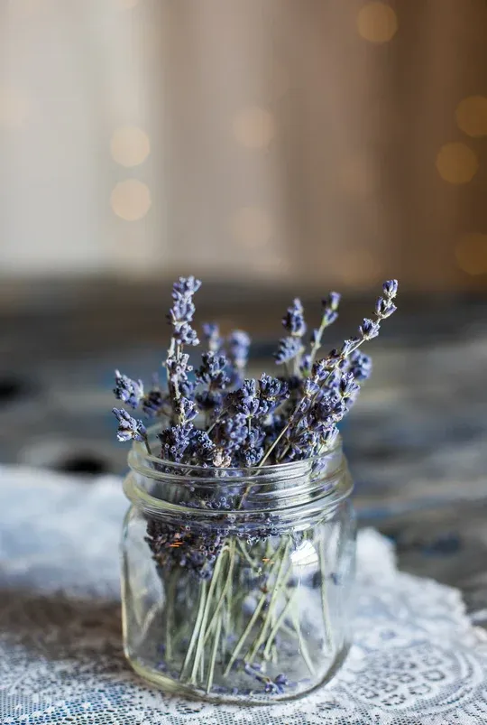 Update from Excelsior Candle Company