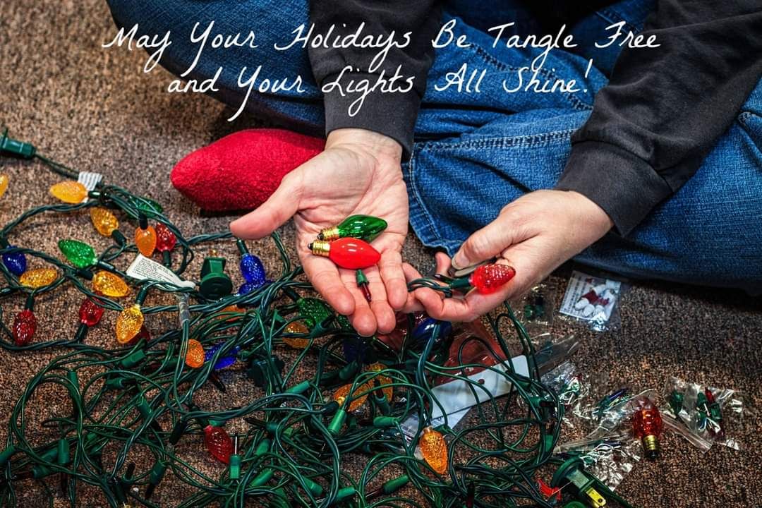 Lauri Novak Photography