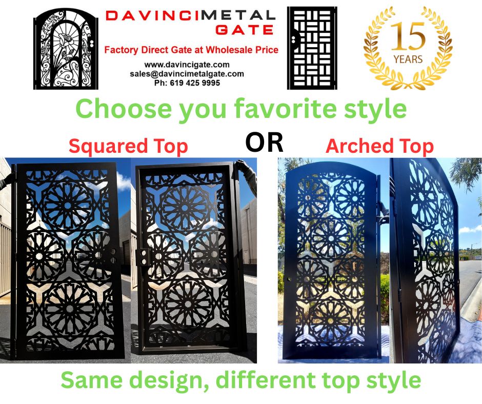 DaVinci Gate