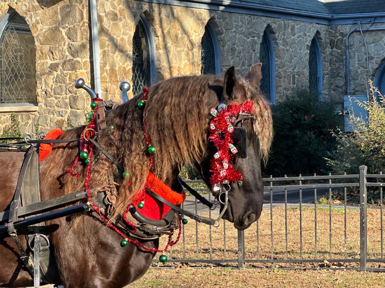 Update from Catbird Studio 1