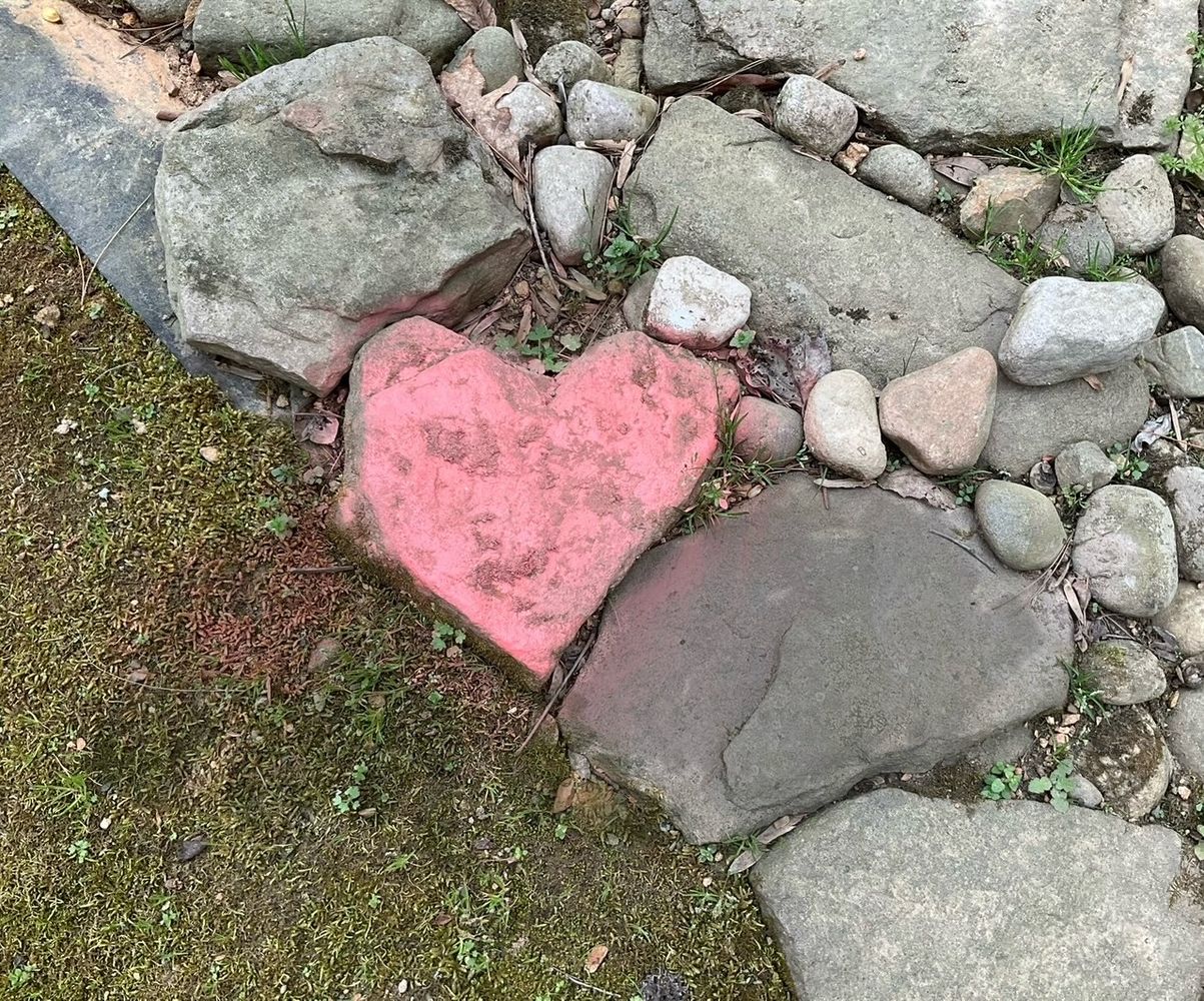 Update from Sudie Rakusin Art